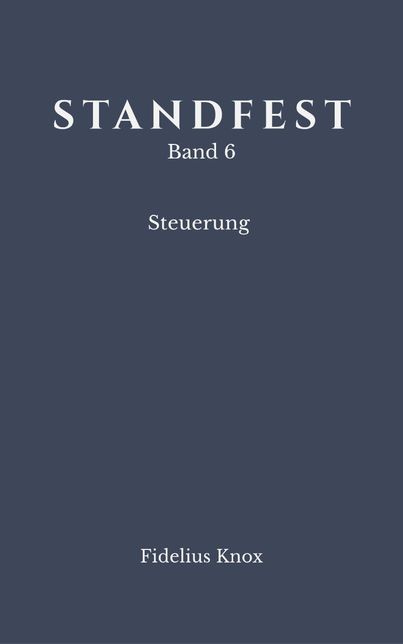 STANDFEST Band 6 - Steuerung (eBook)