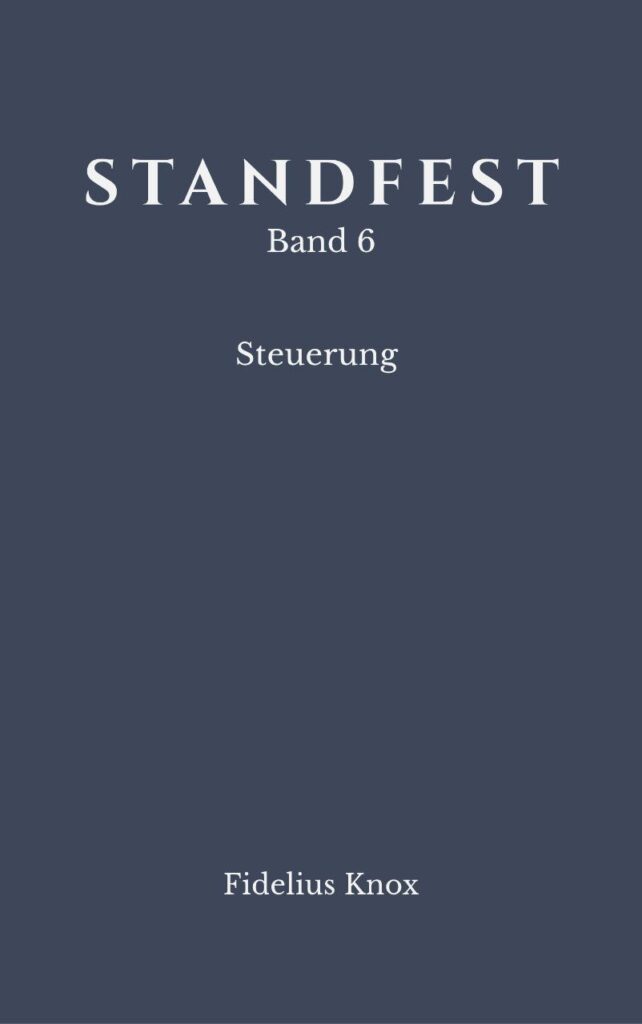 Buchcover STANDFEST Band 6 – Steuerung